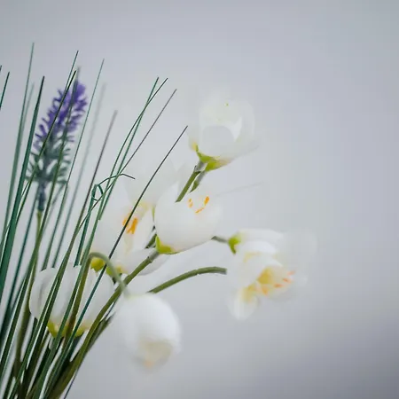 Bellissima 2 Minutes Away From The * Несебър