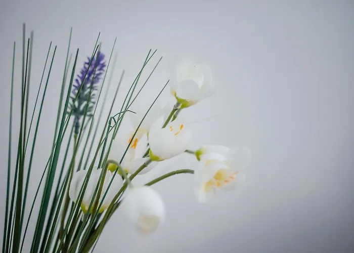 Bellissima 2 Minutes Away From The * Несебър